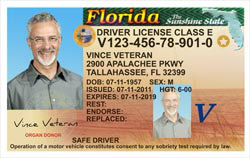 florida check my license